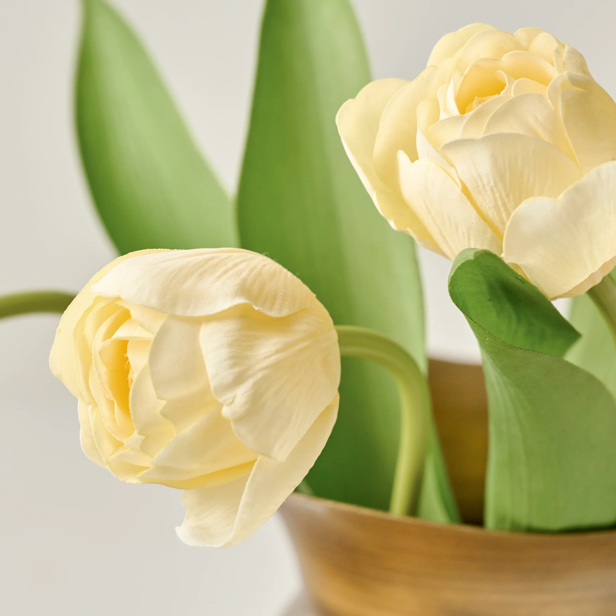 Real Tuli Real Touch Tulip Bundle - Magnolia